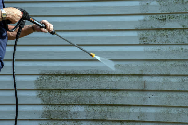 Best Dumpster Area Cleaning  in Charleston, MO